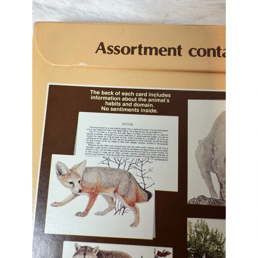 Vintage 1982 Current Inc American Wildlife Cards Assortment 8 Pack Blank 1063-2